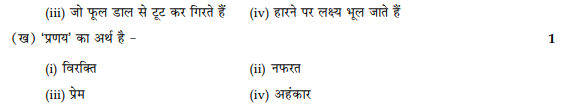 CBSE Class 9 Hindi B Sample Paper Set 14